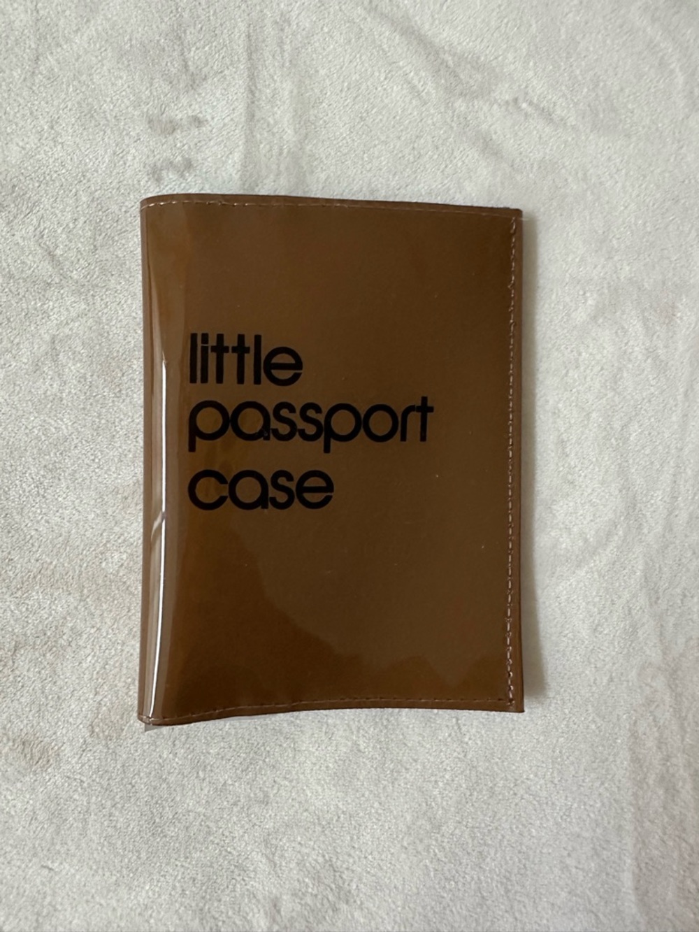 Little Passport Case